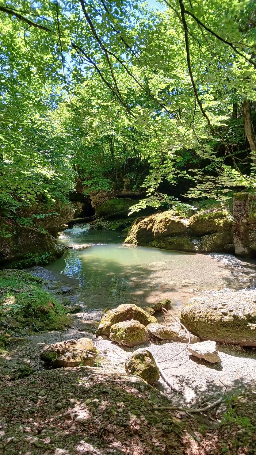 Yoga im Sommer in Neufahrn